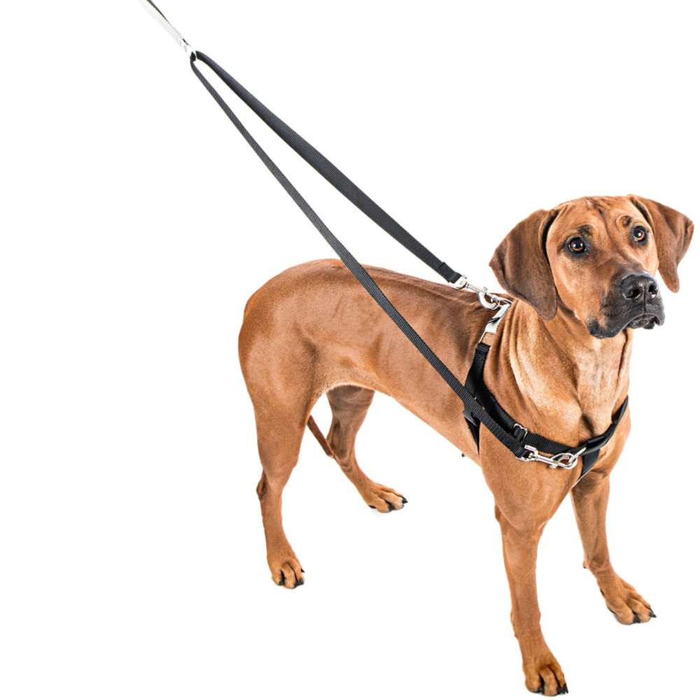 <strong>Luxurious Padded No Pull Dog Harness</strong>