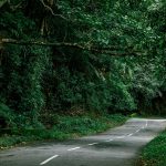 Kerala NEET UG 2026: Easy Registration and Proven Steps